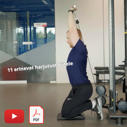 biitseps-triitseps-treeningkava (2) käelihaste treeningkava