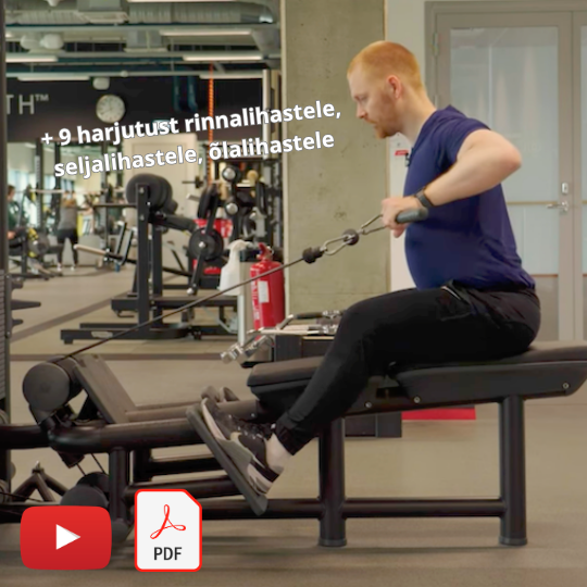 biitseps-triitseps-treeningkava (3) käelihaste treeningkava